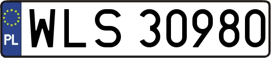 WLS30980
