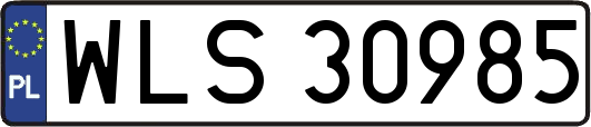 WLS30985