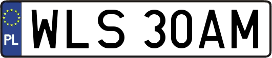 WLS30AM