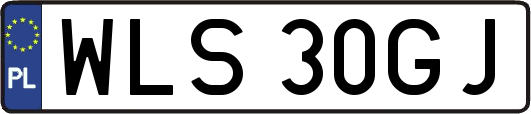 WLS30GJ