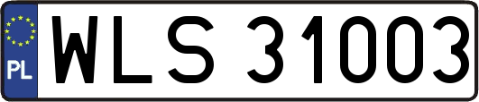 WLS31003
