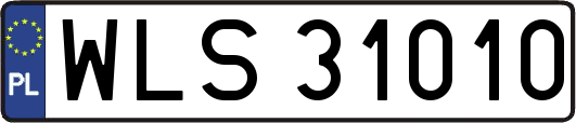 WLS31010