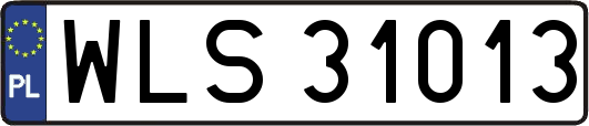 WLS31013