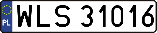 WLS31016