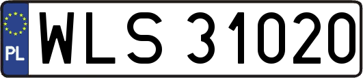 WLS31020