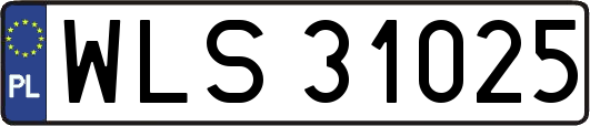 WLS31025