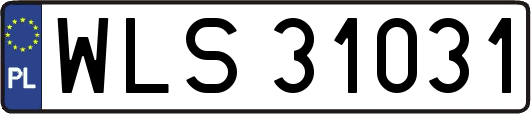 WLS31031