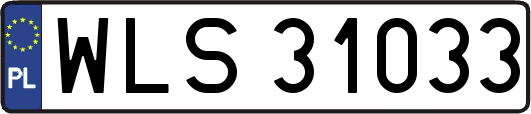 WLS31033
