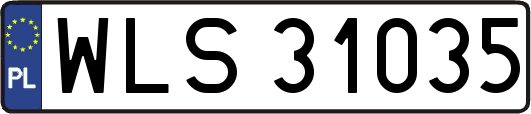 WLS31035