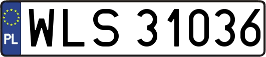 WLS31036