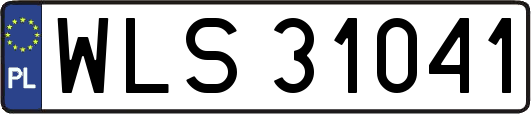WLS31041