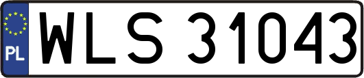 WLS31043