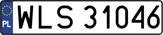 WLS31046