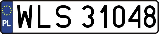 WLS31048