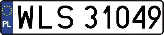 WLS31049