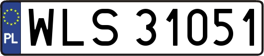 WLS31051