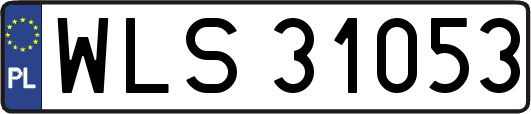 WLS31053