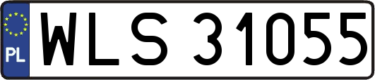 WLS31055