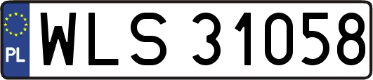 WLS31058