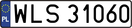 WLS31060