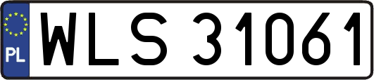 WLS31061
