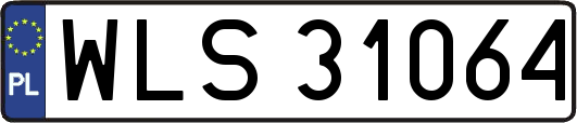 WLS31064
