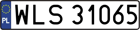 WLS31065