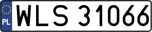 WLS31066