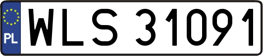 WLS31091