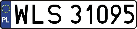 WLS31095