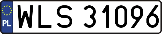 WLS31096