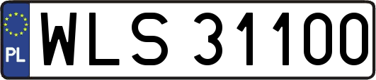 WLS31100