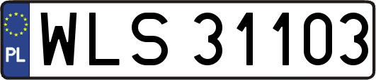 WLS31103