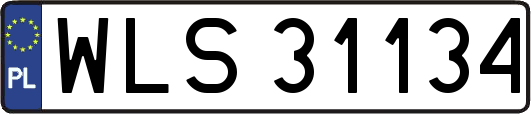 WLS31134