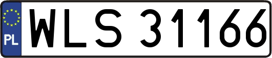 WLS31166