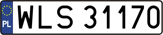 WLS31170