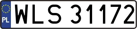WLS31172
