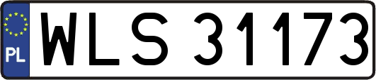 WLS31173