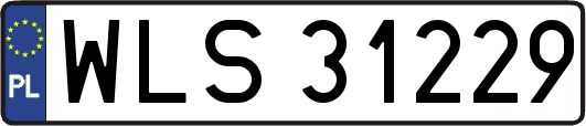 WLS31229