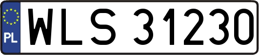 WLS31230