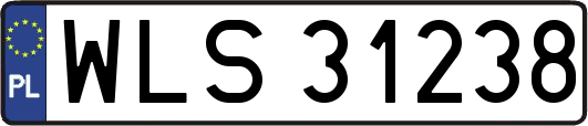 WLS31238