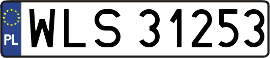 WLS31253