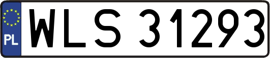 WLS31293