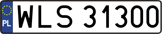 WLS31300