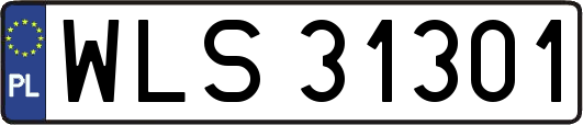 WLS31301