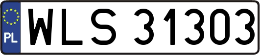 WLS31303