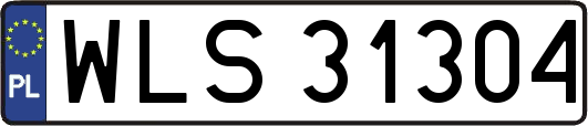 WLS31304