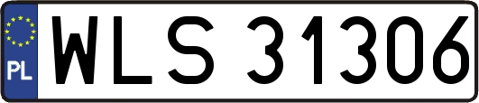 WLS31306