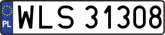WLS31308