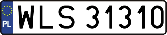 WLS31310